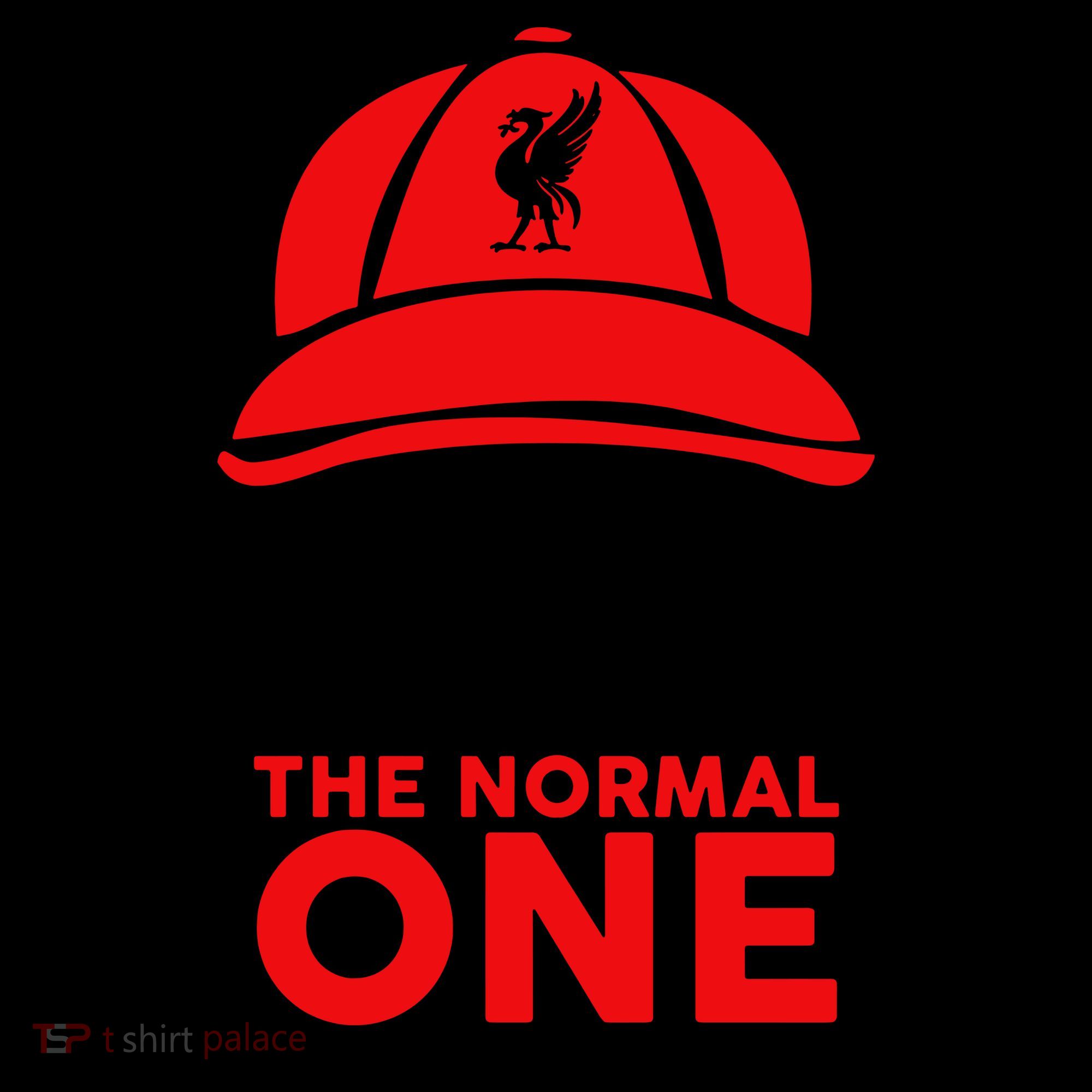 The Normal One Toddler Hoodie