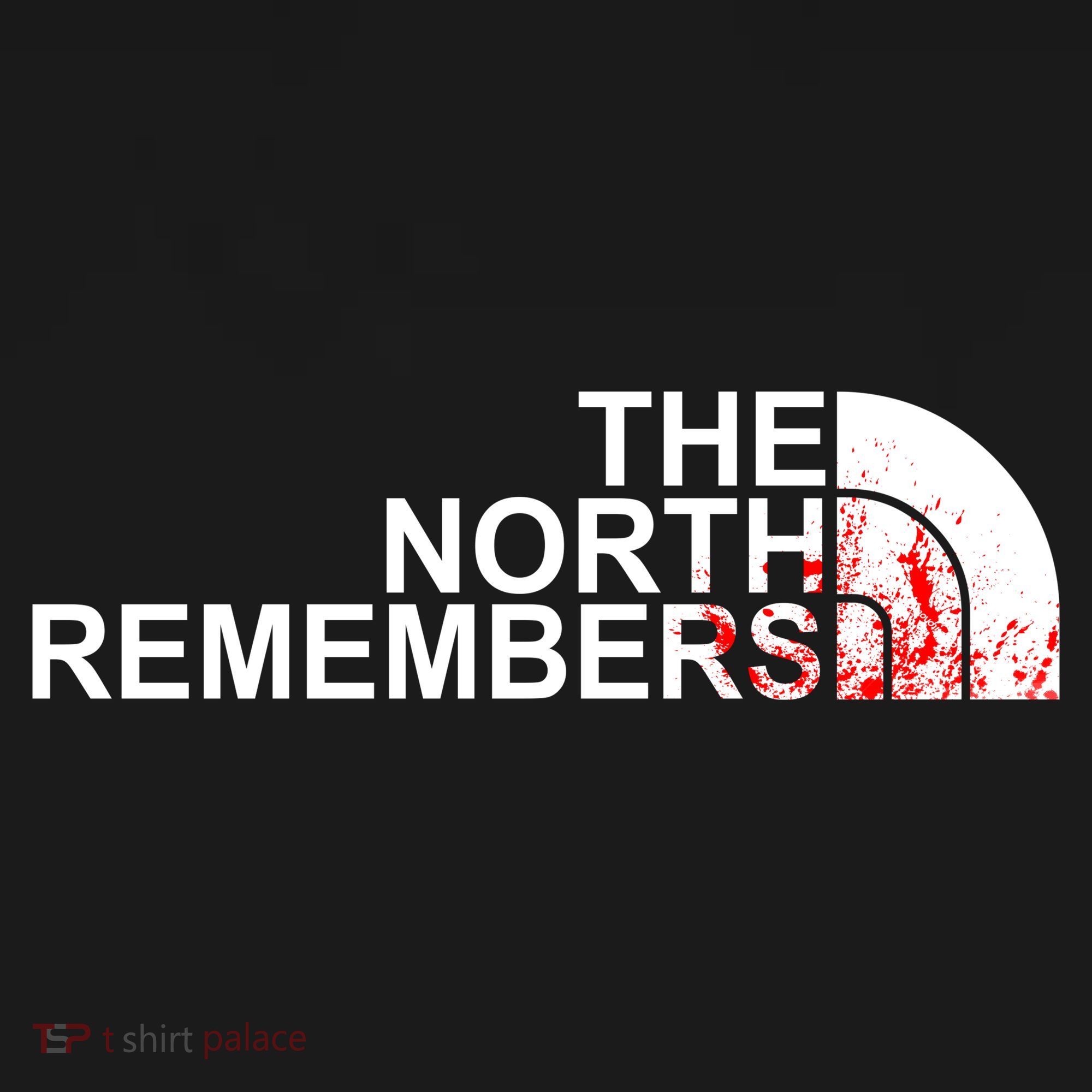 The North Remembers T-Shirt