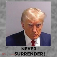 Trump Never Surrender Mug Shot Toddler Hoodie thumb 2