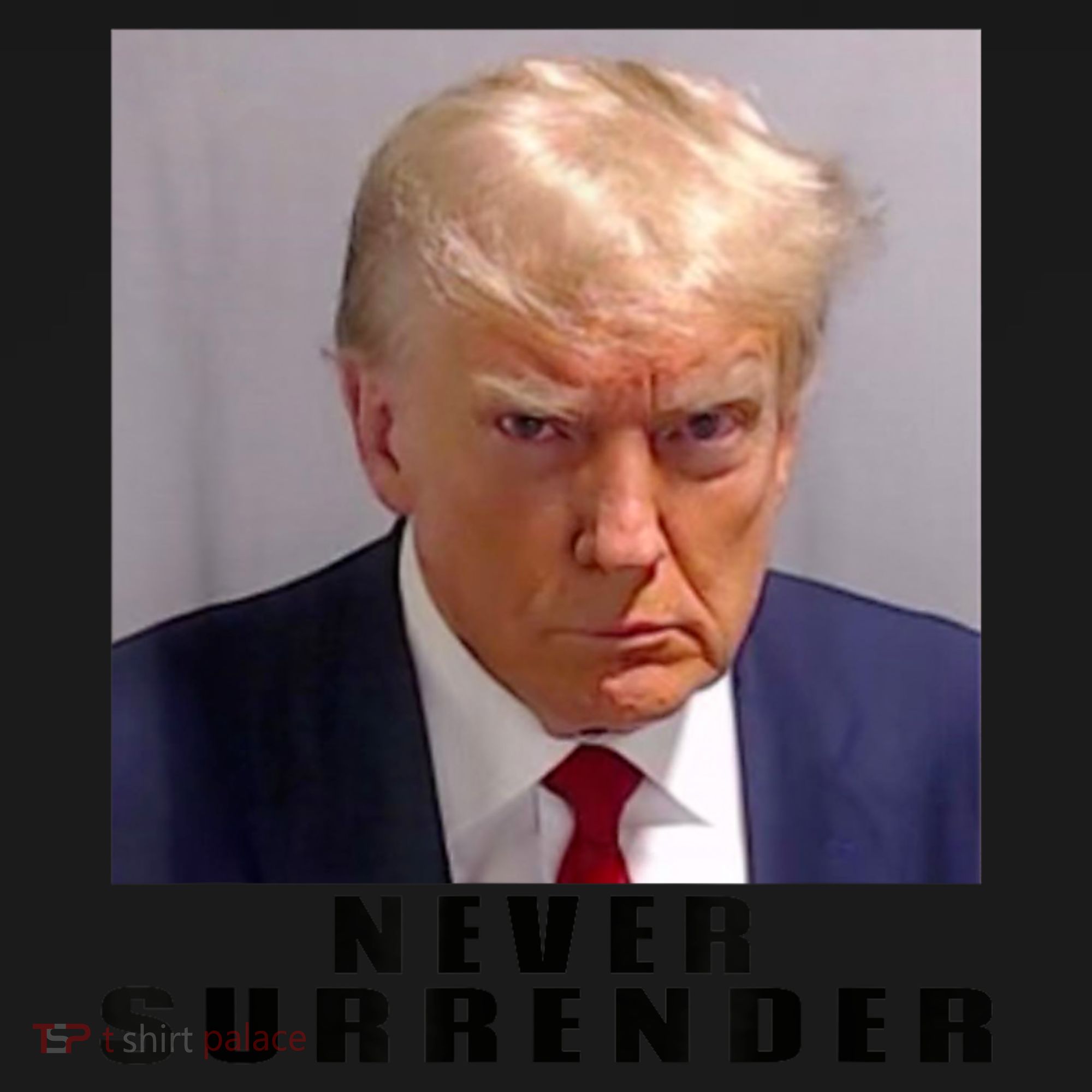 Trump never surrender Donald Trump Mugshot 2024 Toddler Hoodie