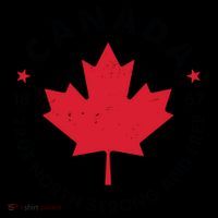 True North Strong And Free Canada Toddler Hoodie thumb 2