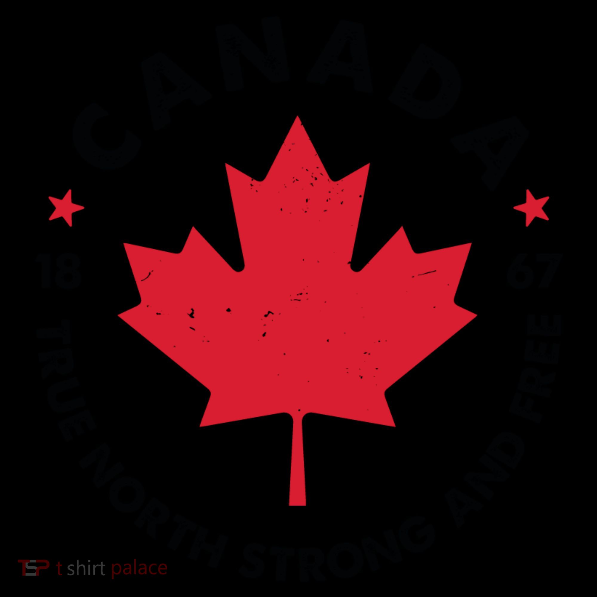 True North Strong And Free Canada Toddler Hoodie