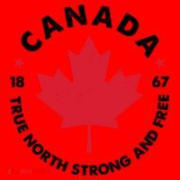 True North Strong And Free Canada Santa Hat thumb 1