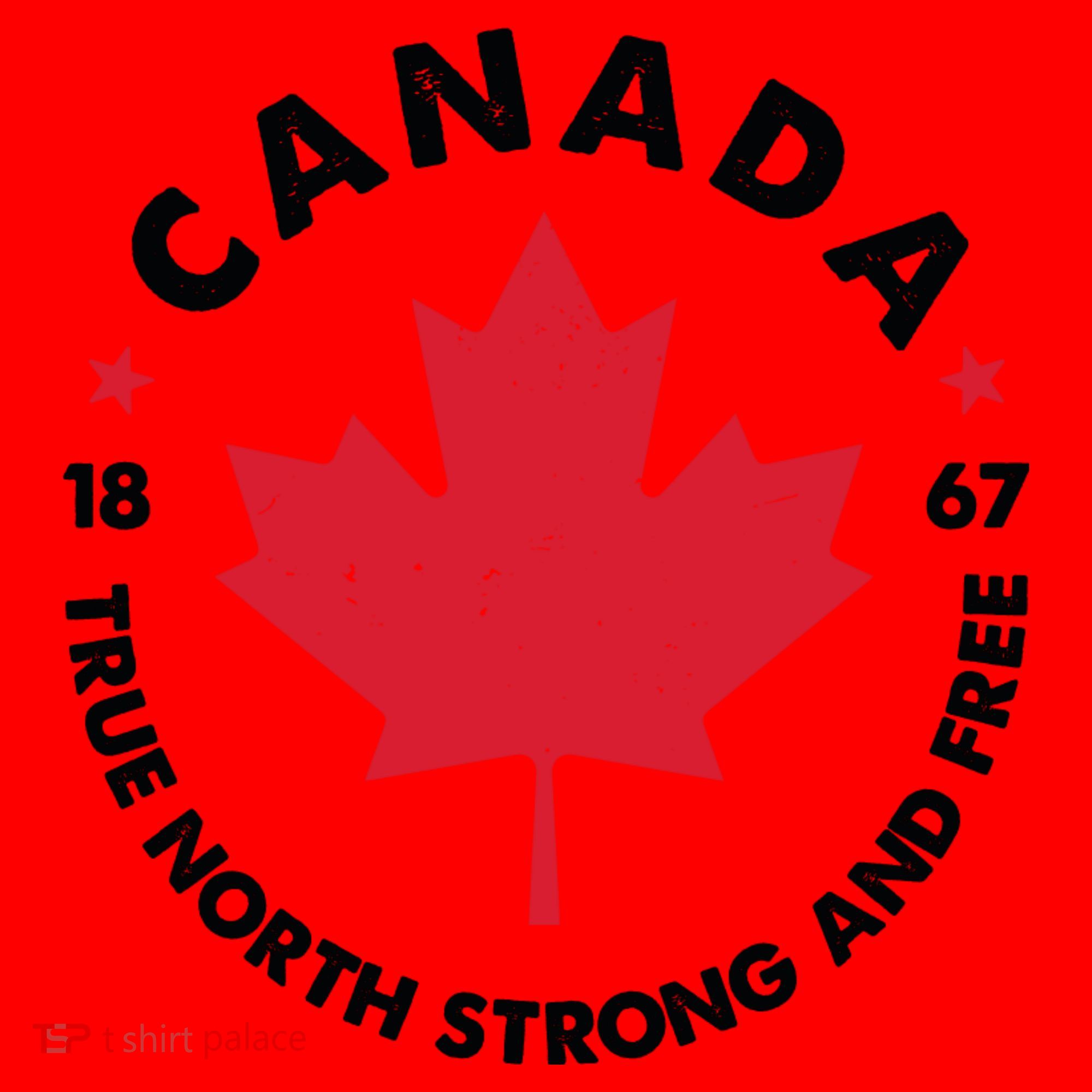 True North Strong And Free Canada Santa Hat