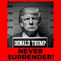 Trump Never Surrender 2024 Mugshot Santa Hat thumb 1