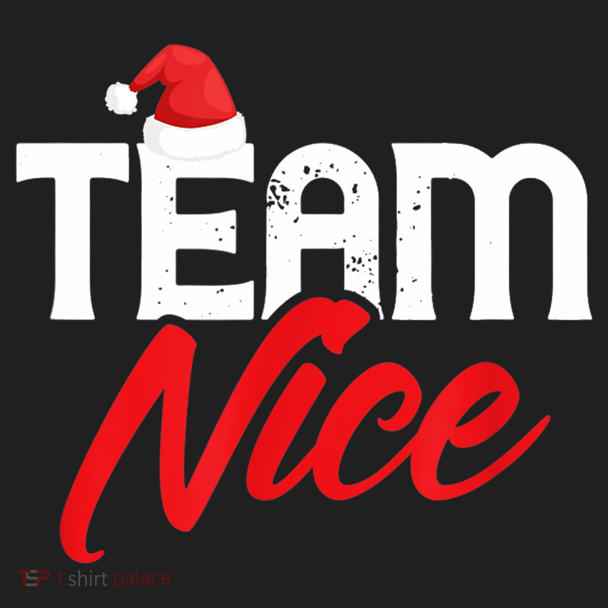 Team Nice Shirt Funny Couple Matching Outfit Team Naughty TShirt Hat