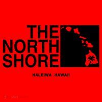The North Shore Logo Gift Santa Hat thumb 1