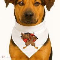 Turkey Nurse Stethoscope Thanksgiving Nurse Turkey USA-Made Doggie Bandana thumb 1