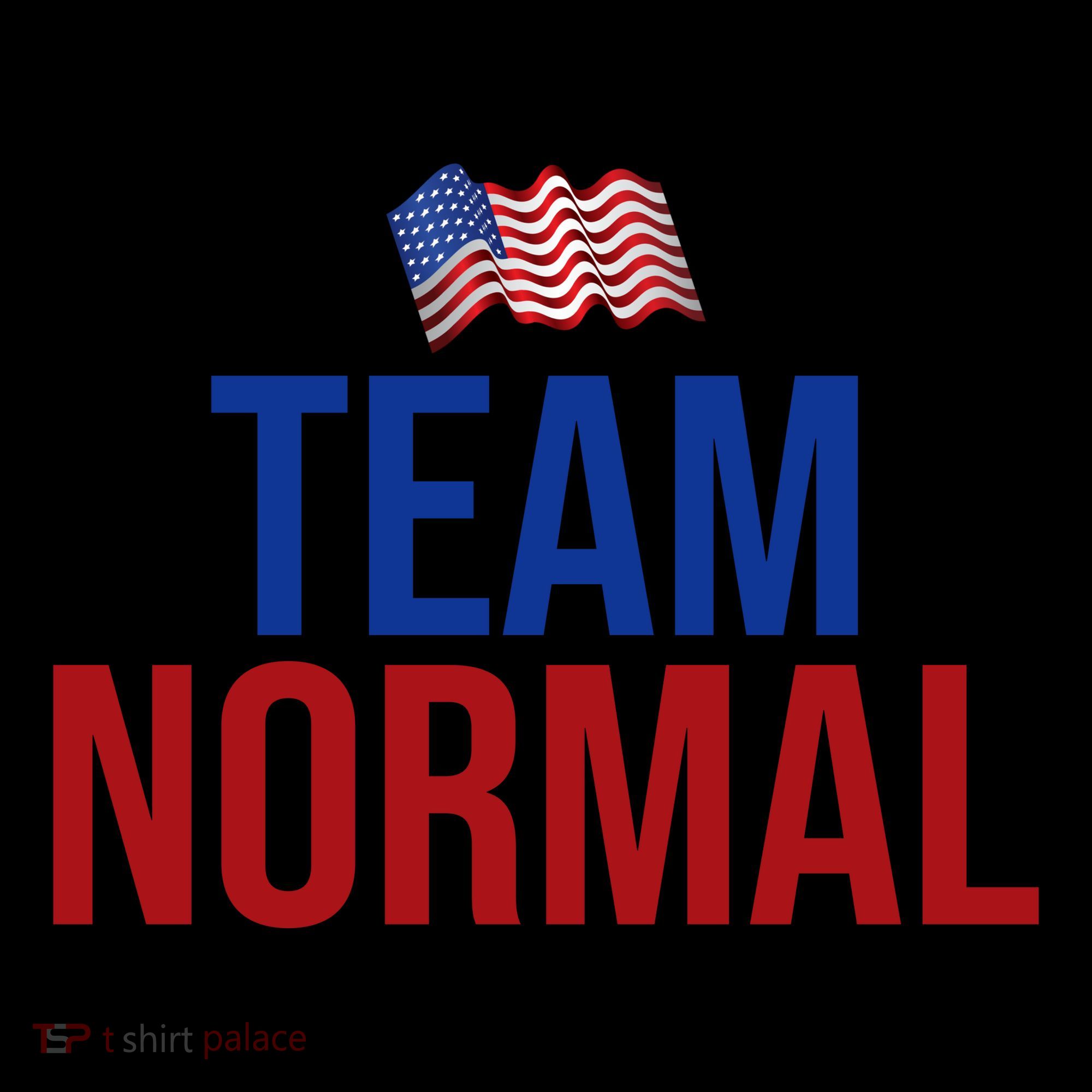 Team Normal United States Flag Patriotic Coffee Mug