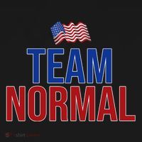 Team Normal United States Flag Patriotic Visor thumb 3
