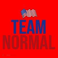 Team Normal United States Flag Patriotic Santa Hat thumb 1