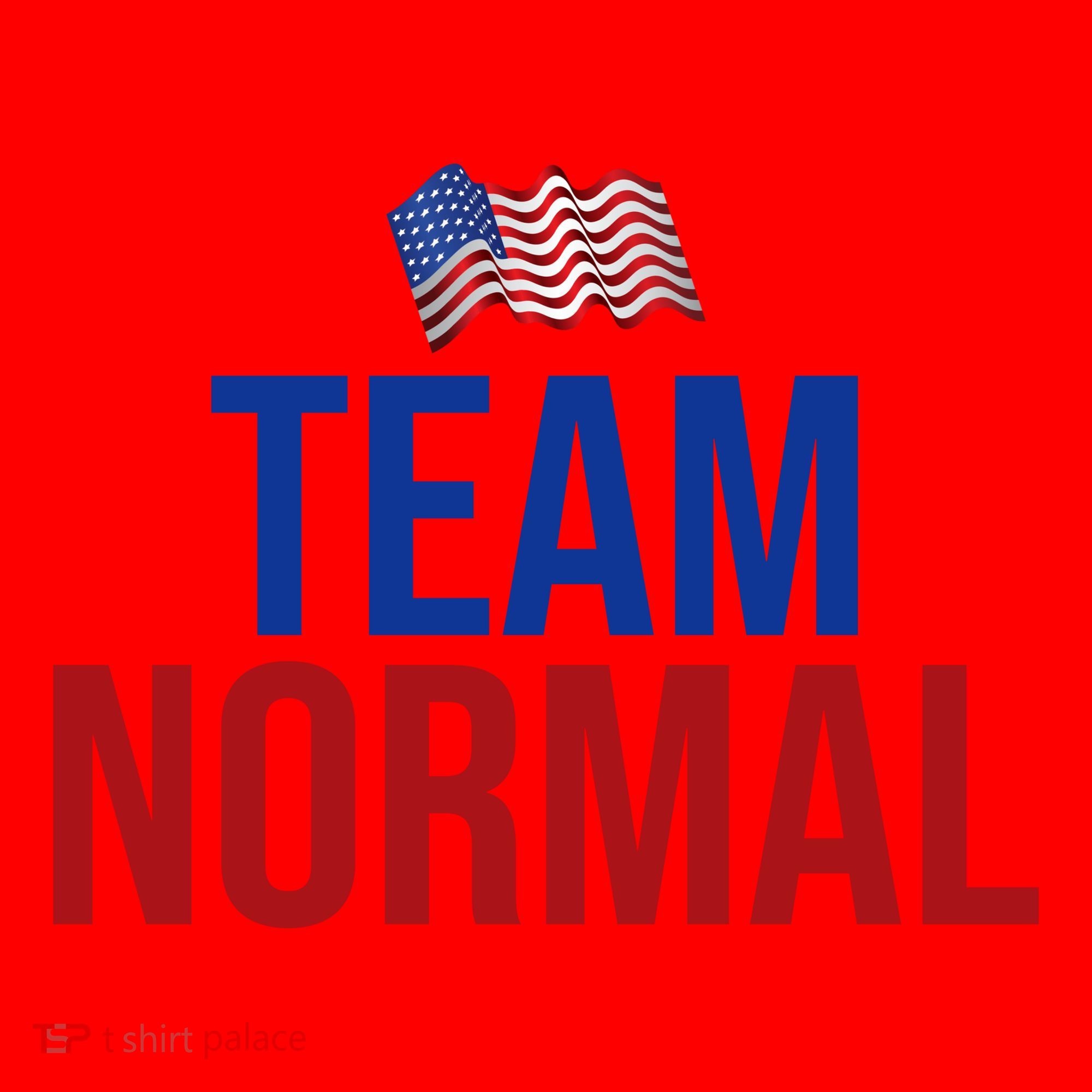 Team Normal United States Flag Patriotic Santa Hat