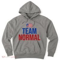 Team Normal United States Flag Patriotic Hoodie thumb 0