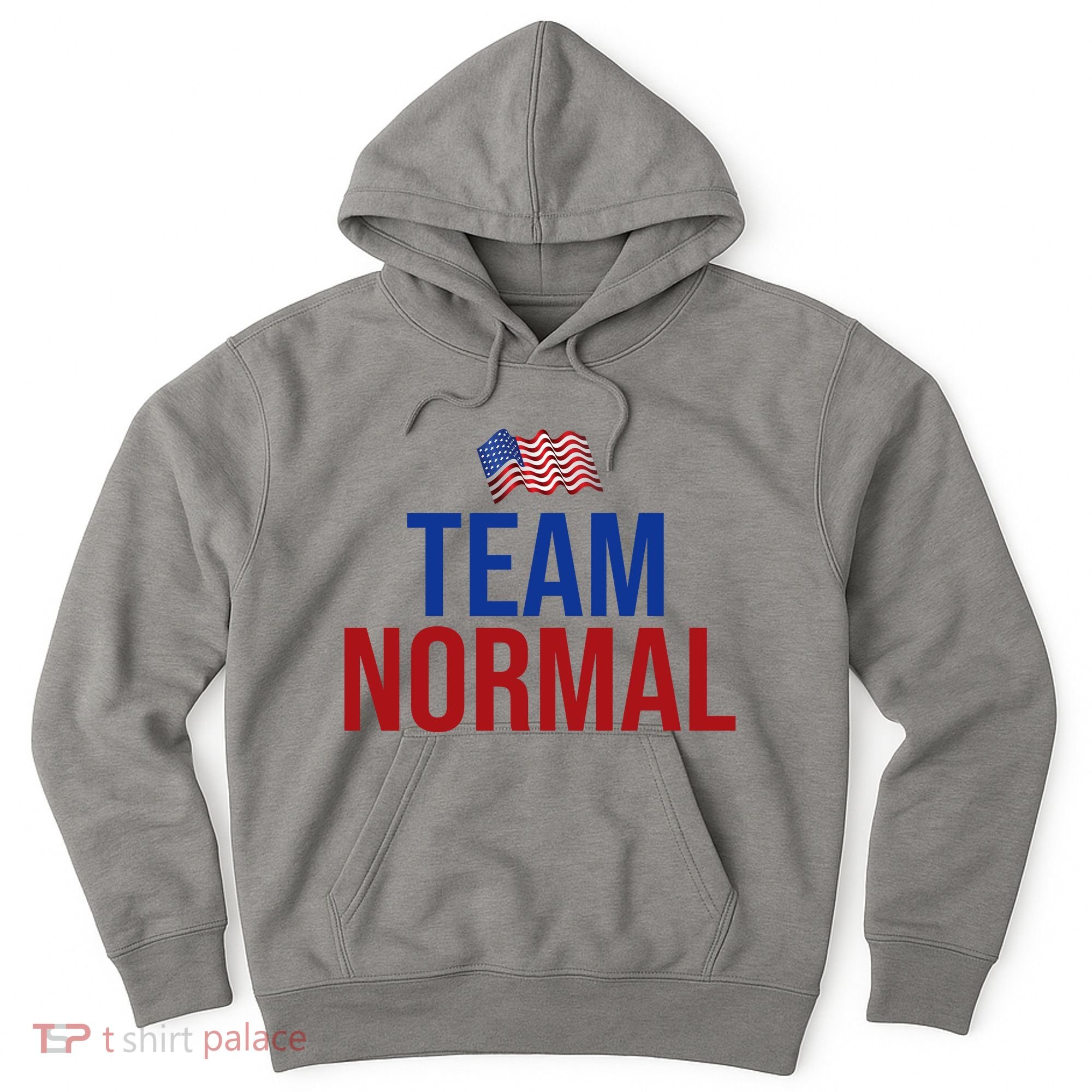 Team Normal United States Flag Patriotic Hoodie
