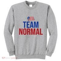 Team Normal United States Flag Patriotic Sweatshirt thumb 0