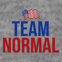 Team Normal United States Flag Patriotic Sweatshirt thumb 3