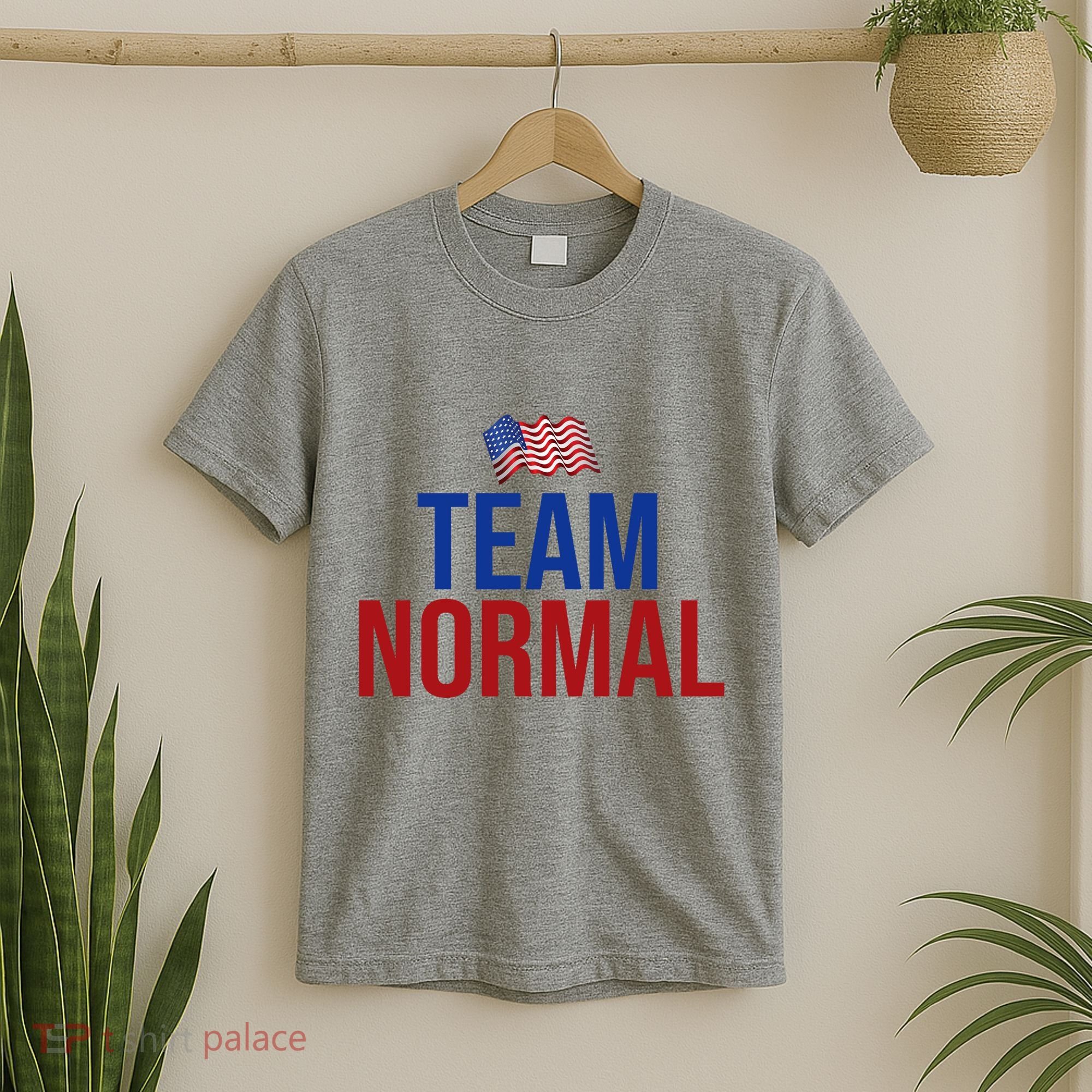 Team Normal United States Flag Patriotic T-Shirt