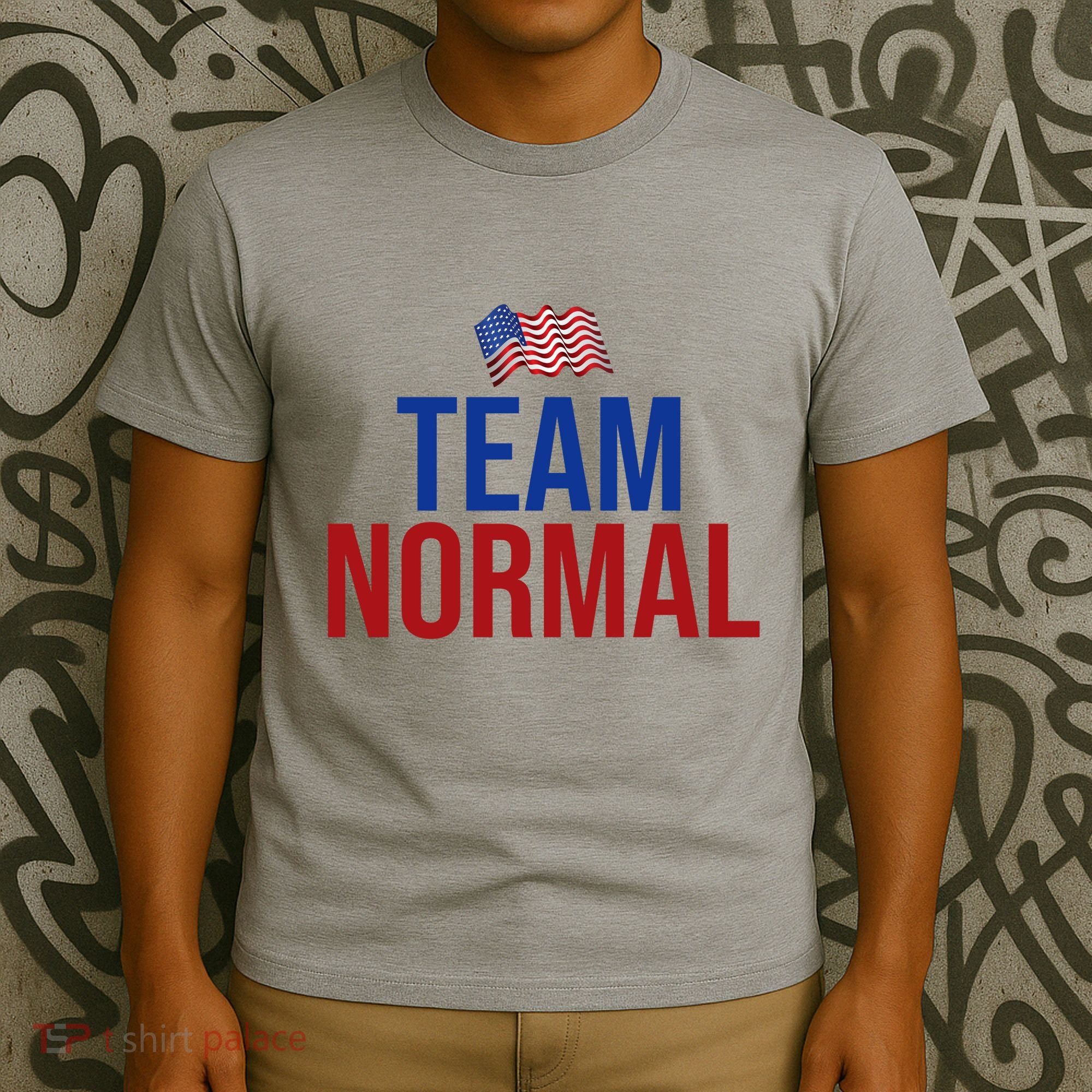 Team Normal United States Flag Patriotic T-Shirt