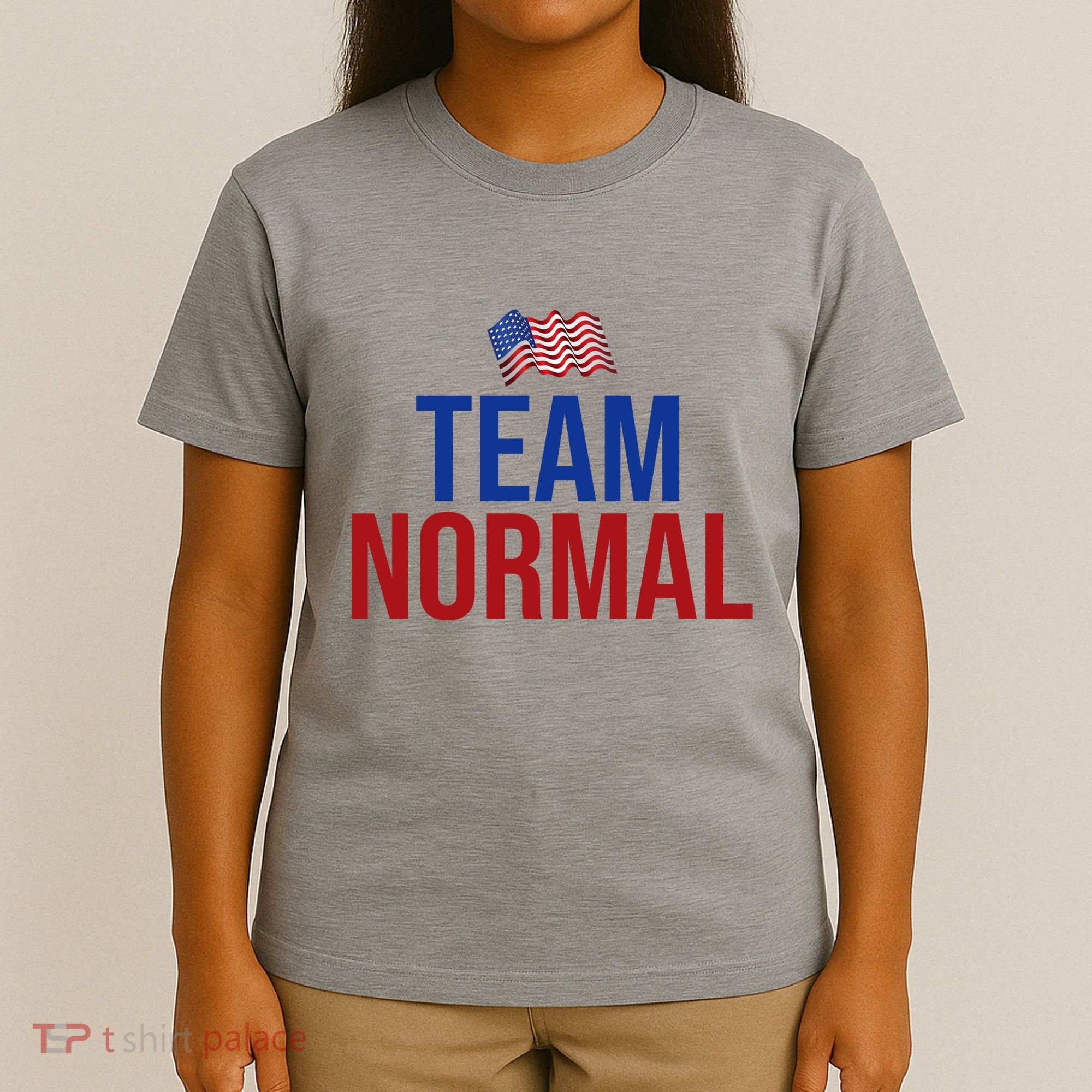 Team Normal United States Flag Patriotic T-Shirt