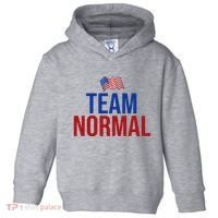 Team Normal United States Flag Patriotic Toddler Hoodie thumb 0