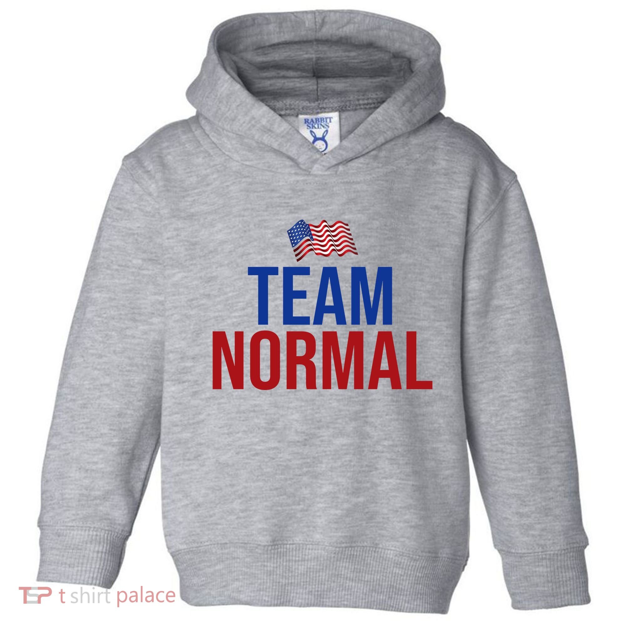 Team Normal United States Flag Patriotic Toddler Hoodie