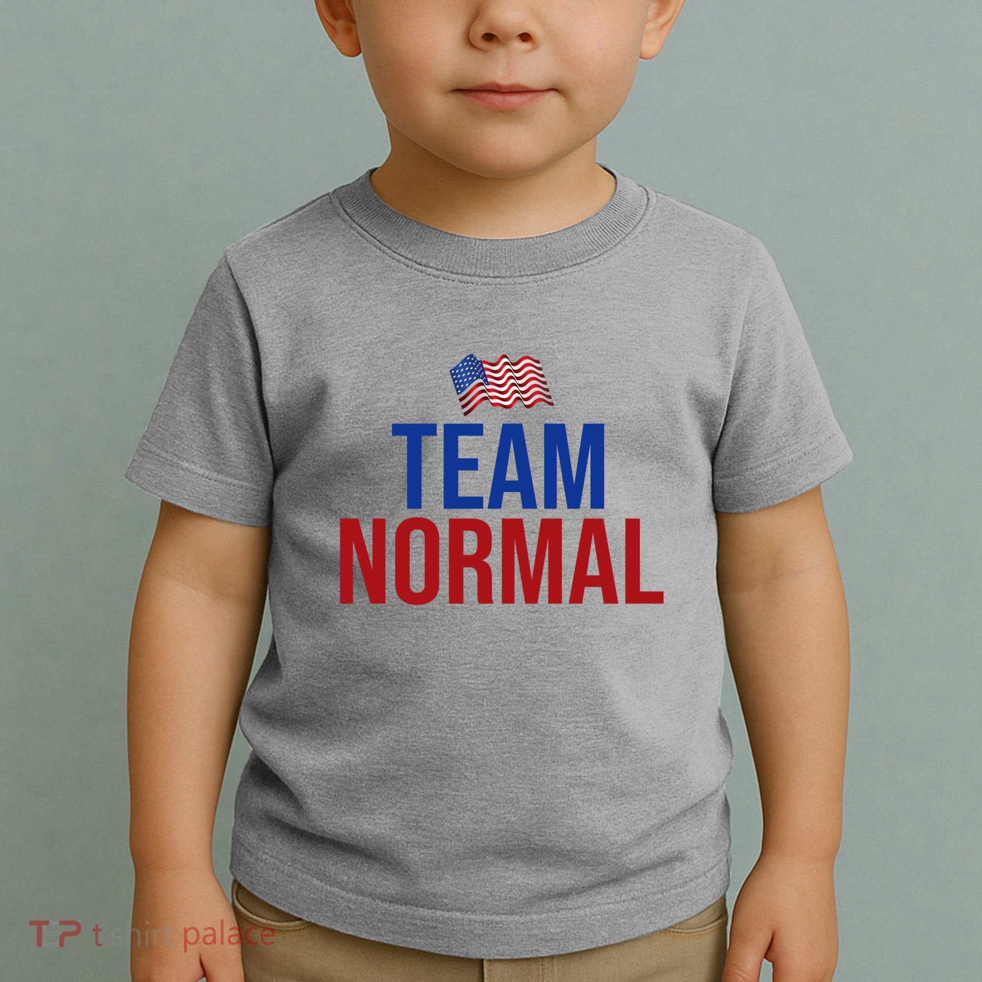 Team Normal United States Flag Patriotic Toddler T-Shirt