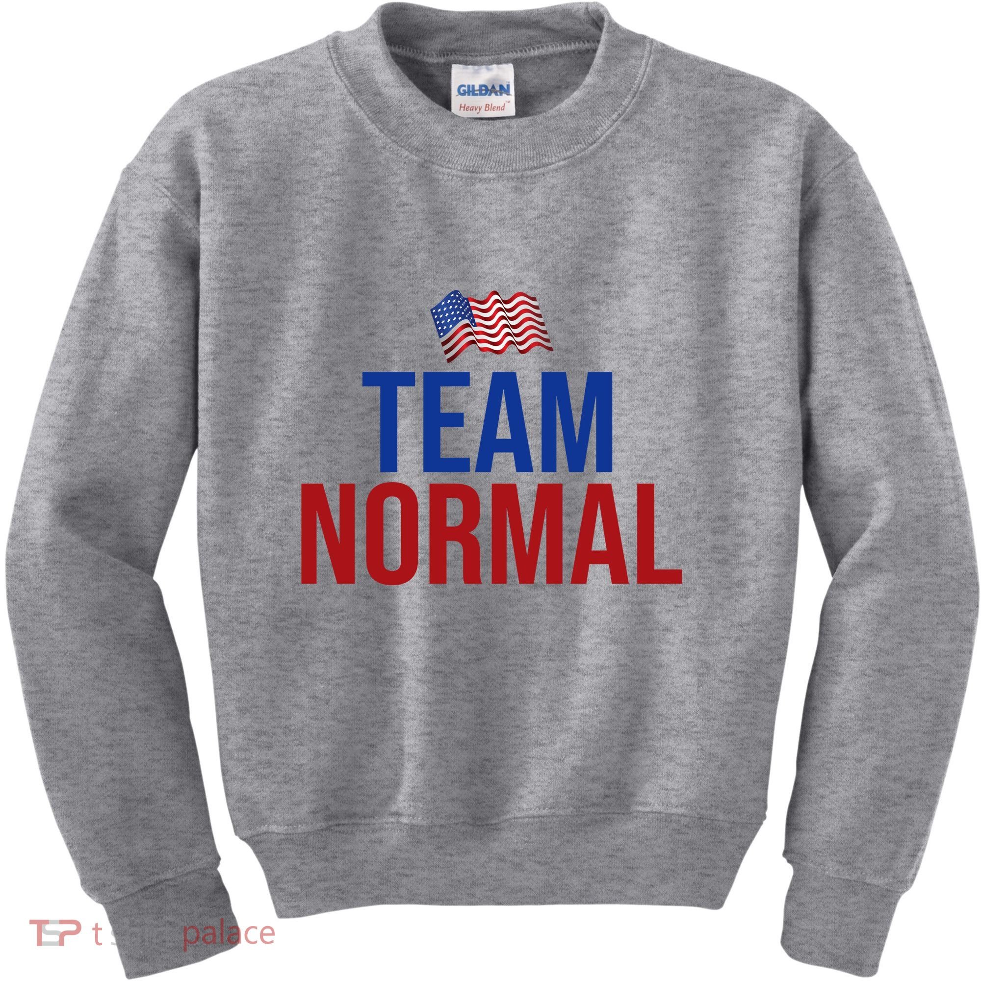 Team Normal United States Flag Patriotic Kids Sweatshirt