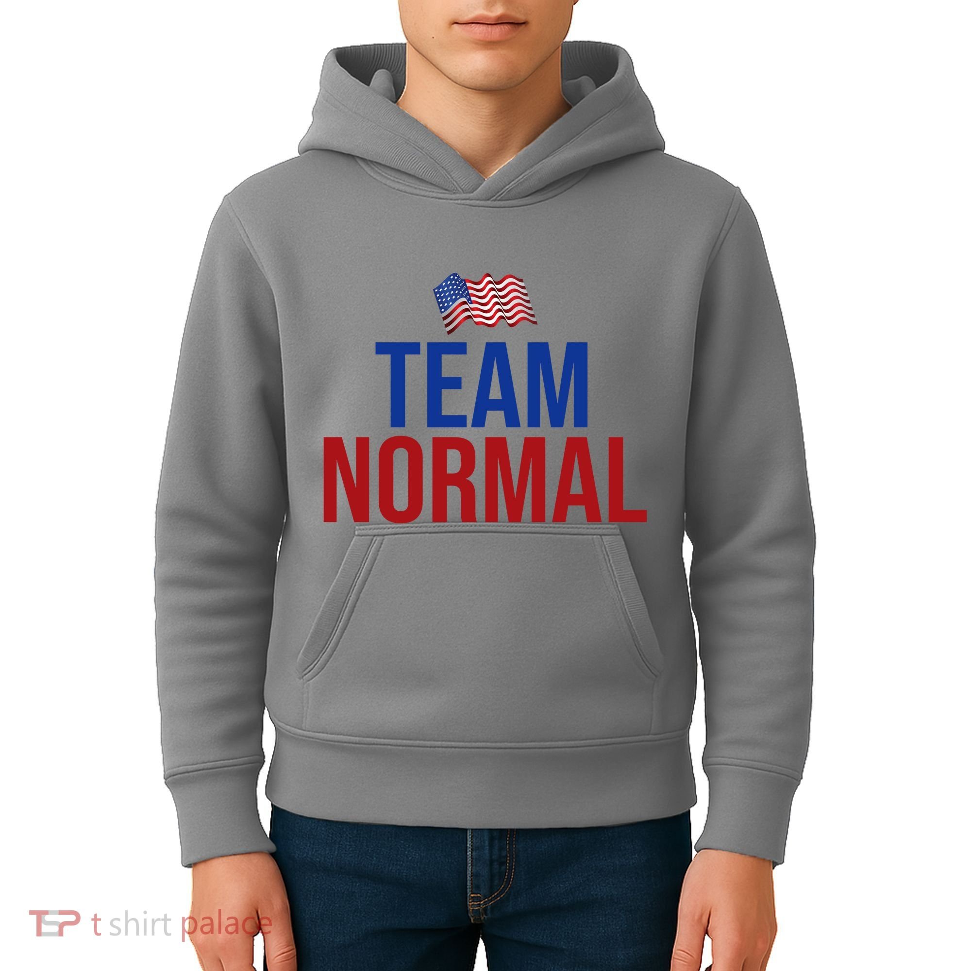 Team Normal United States Flag Patriotic Kids Hoodie