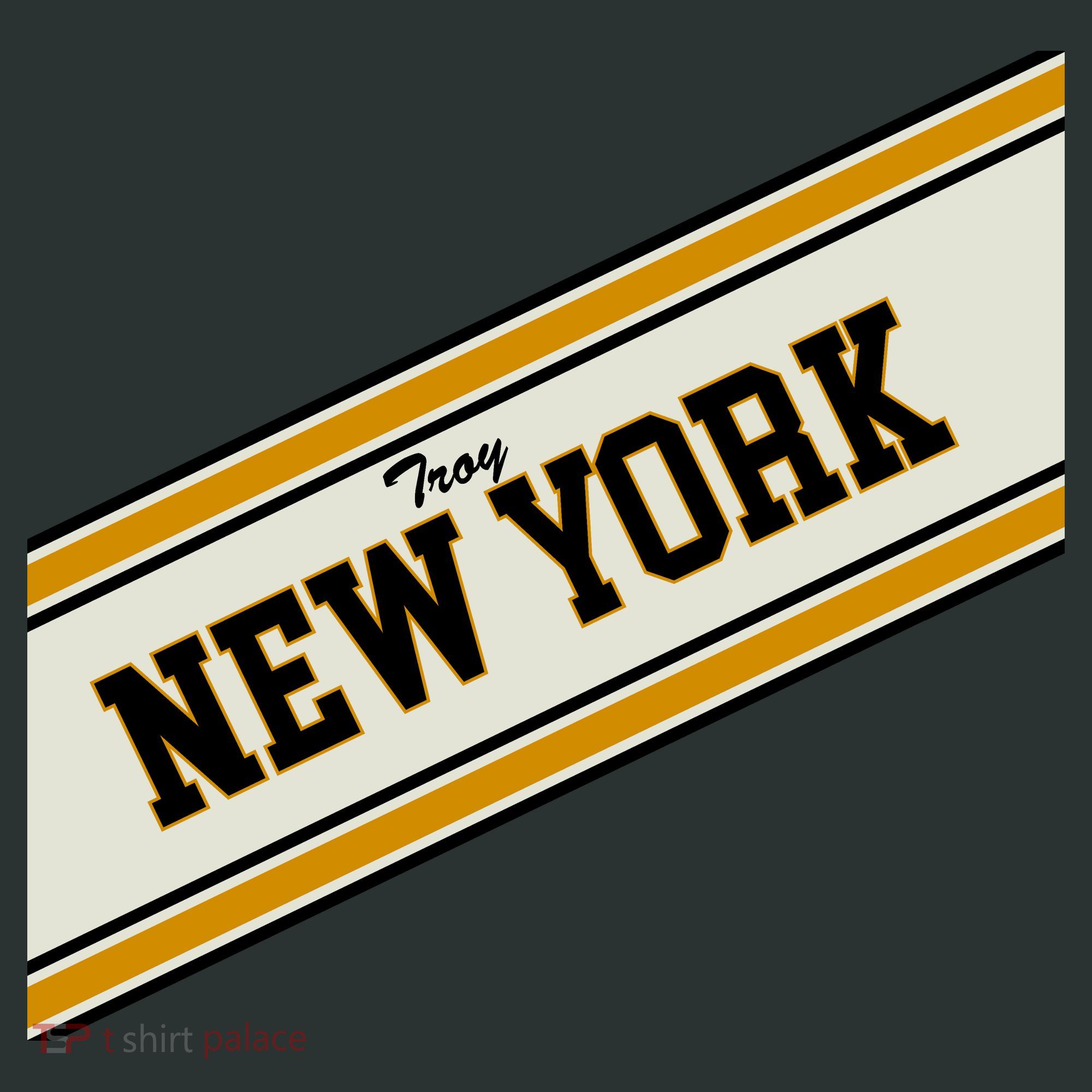 Troy New York Varsity Logo Kids Sweatshirt
