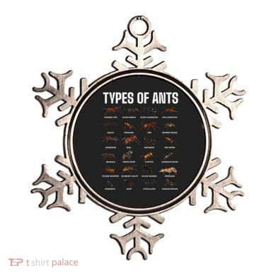 Types Of Ants For Ant Keeper Lovers Ornament