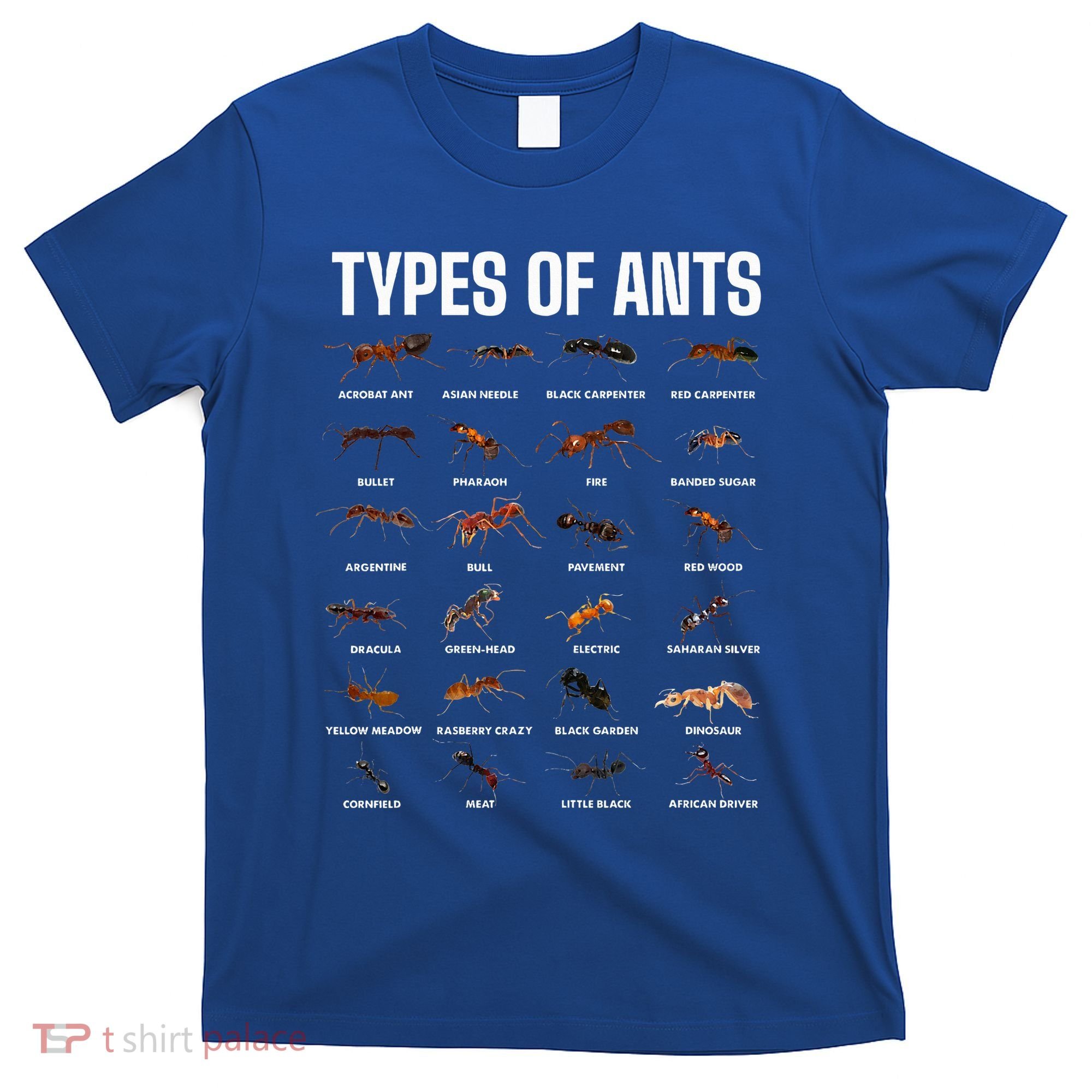 Types Of Ants For Ant Keeper Lovers T-Shirt
