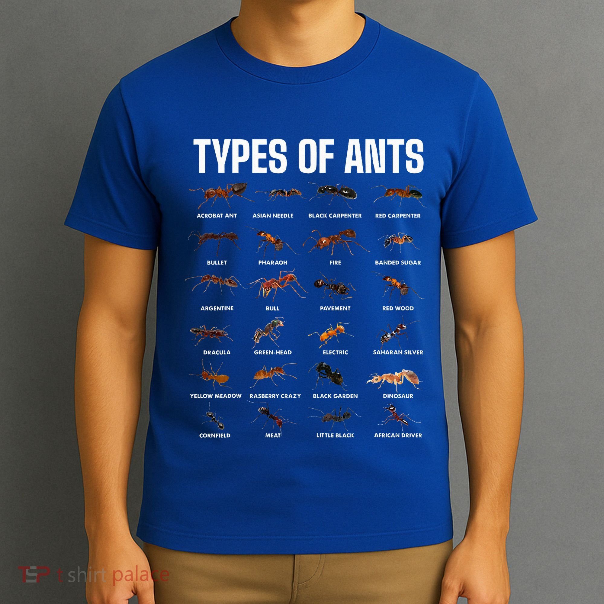 Types Of Ants For Ant Keeper Lovers T-Shirt