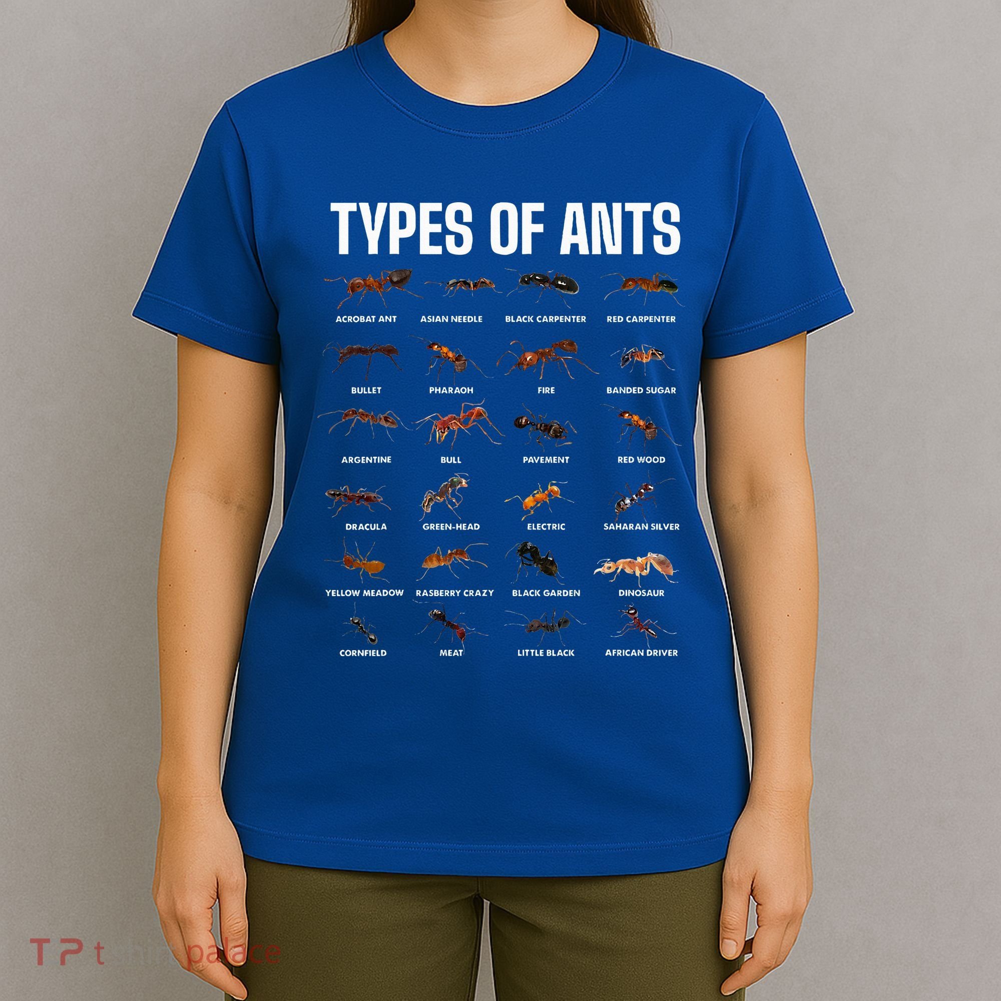 Types Of Ants For Ant Keeper Lovers T-Shirt