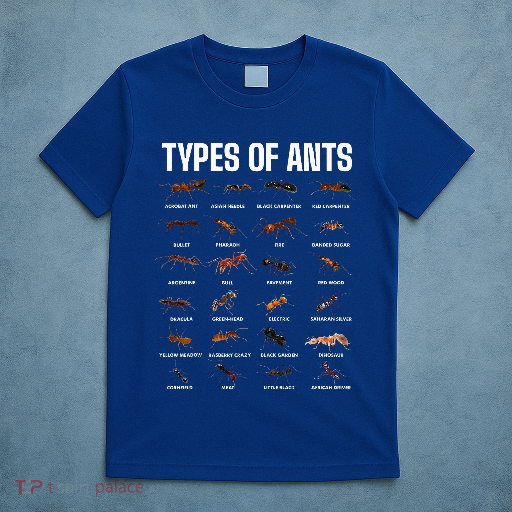 Types Of Ants For Ant Keeper Lovers T-Shirt