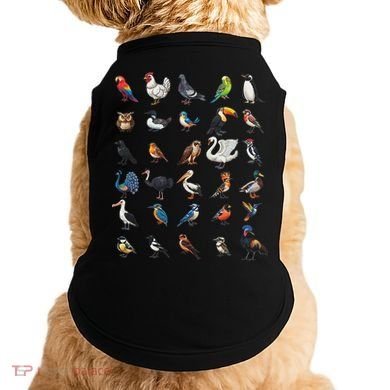 Types Of Birds Educational Doggie Tank