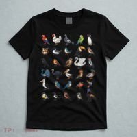 Types Of Birds Educational T-Shirt thumb 5