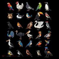 Types Of Birds Educational T-Shirt thumb 7