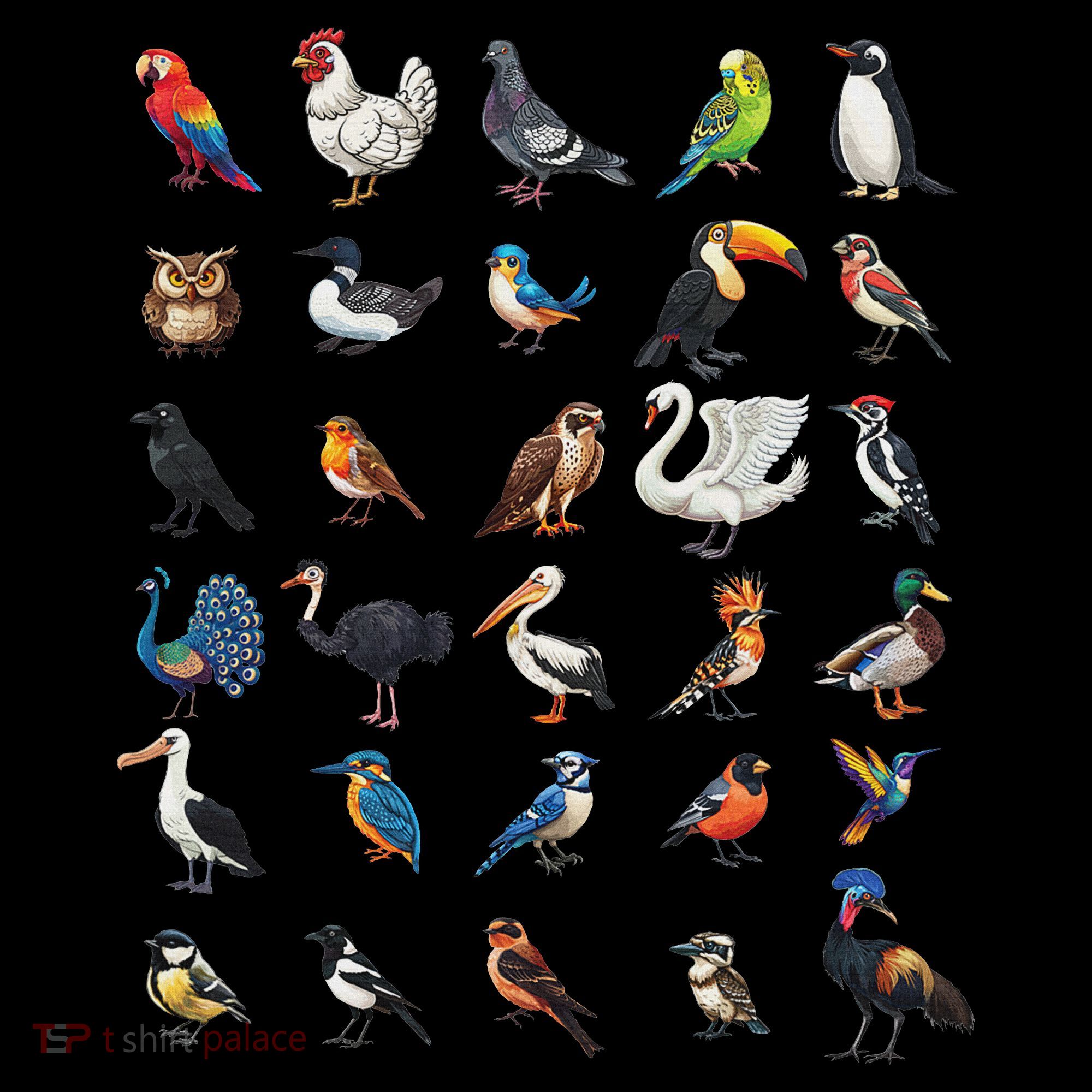 Types Of Birds Educational T-Shirt