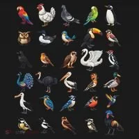 Types Of Birds Educational Button thumb 1