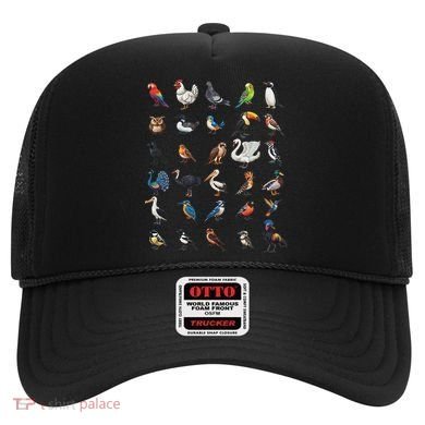 Types Of Birds Educational Hat