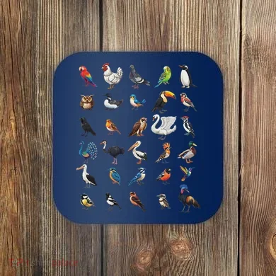 Coaster