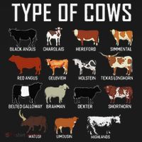 Types Of Cows Farmer Tee Costume Cow T-Shirt thumb 7