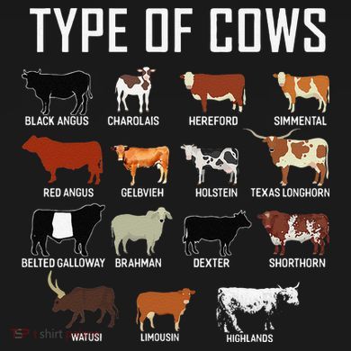 Types Of Cows Farmer Tee Costume Cow Sustainable Bucket Hat