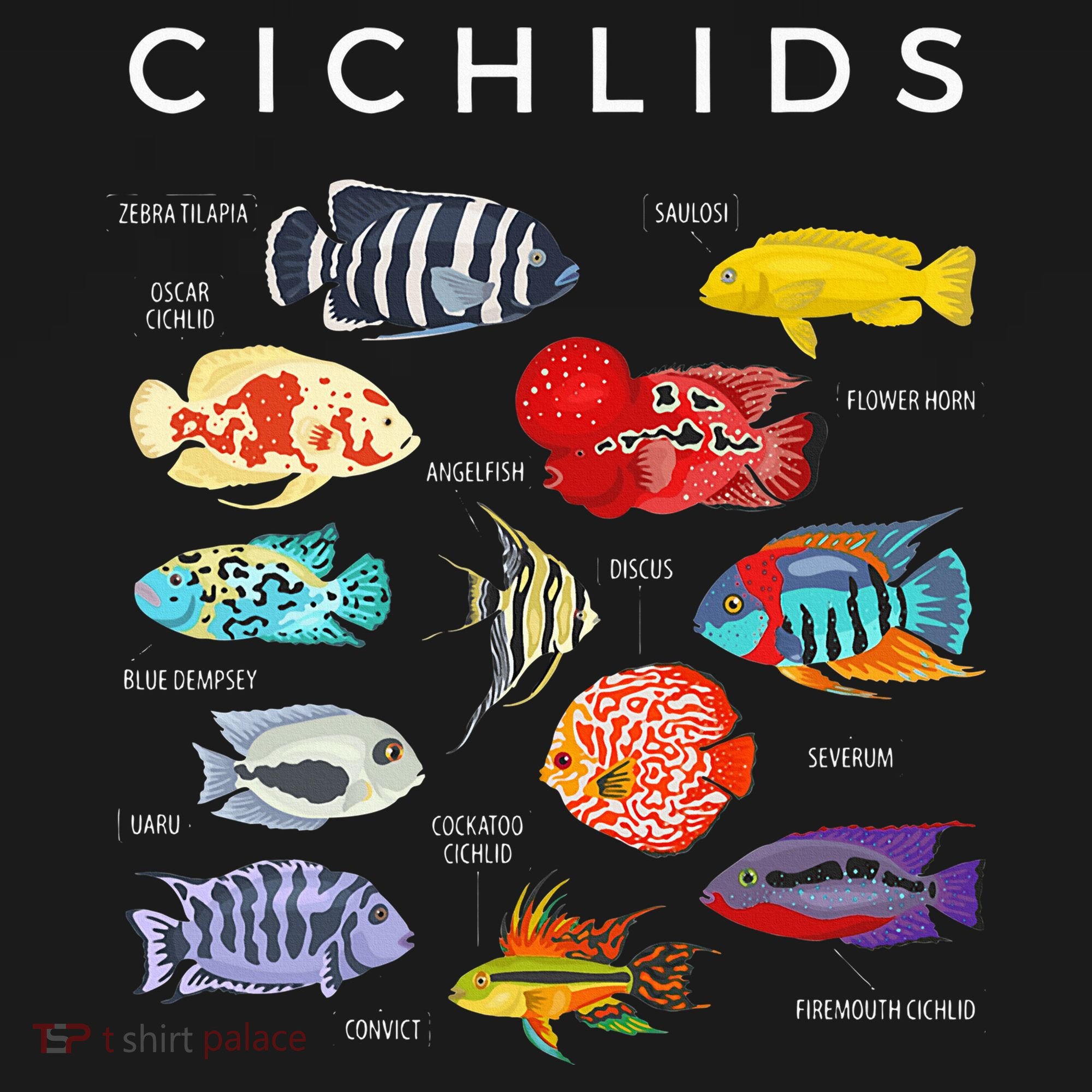 Types Of Cichlid Fish Species Cichlids Aquarium Women's Hoodie