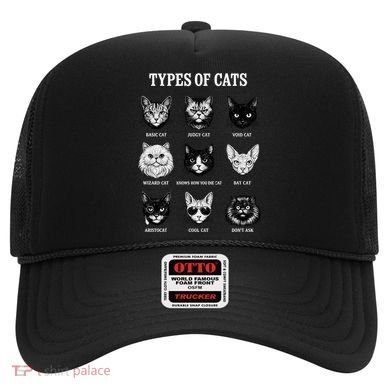 Types Of Cats Hat