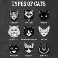 Types Of Cats T-Shirt thumb 5