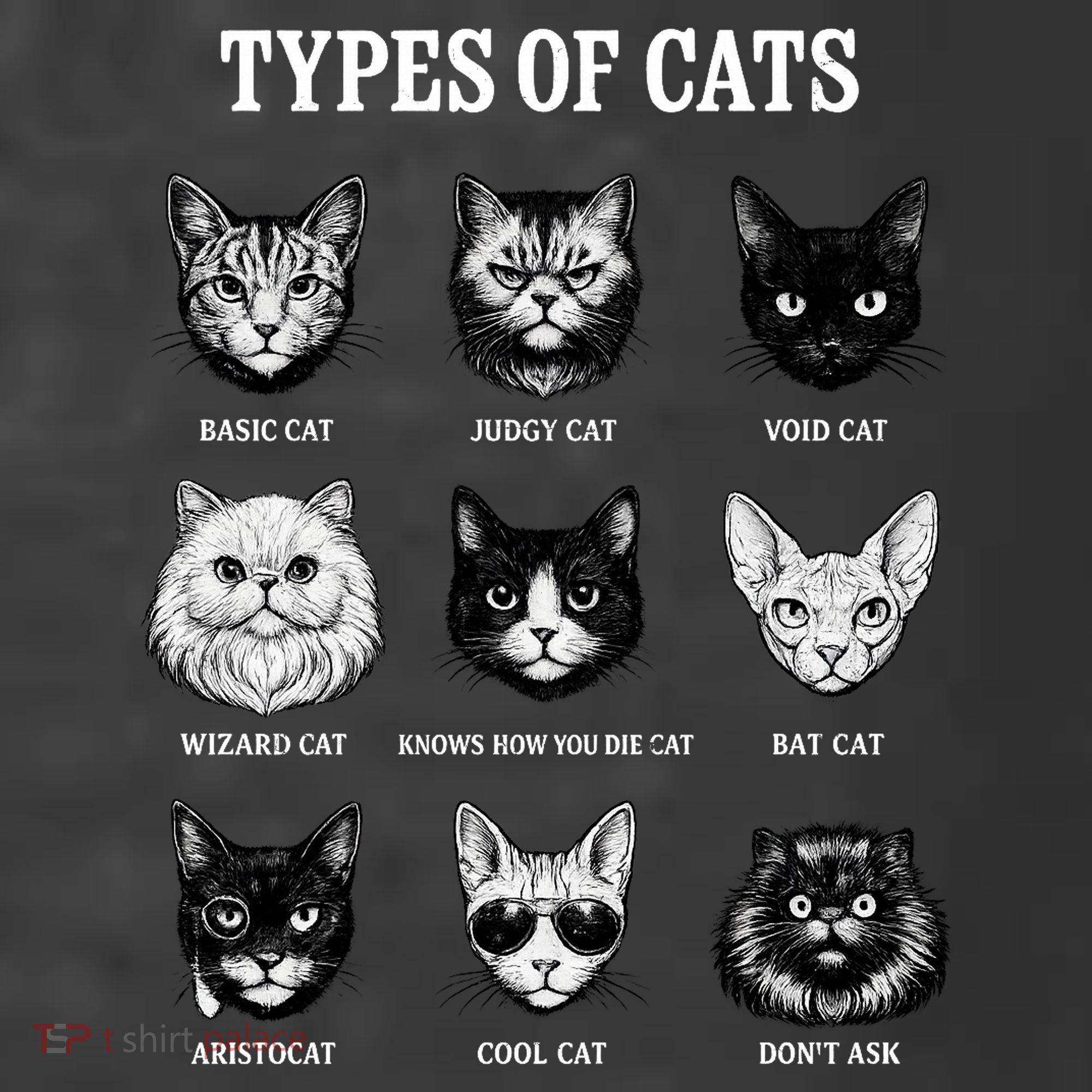 Types Of Cats T-Shirt