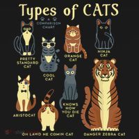 Types Of Cat Funny Comparison Cat Pet Lover Owner Hoodie thumb 7