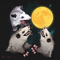 Three Opossum Dead Moon Possum Funny Gift Costumes Dults Gift Women's Hoodie thumb 2