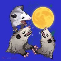 Three Opossum Dead Moon Possum Funny Gift Costumes Dults Gift Coaster thumb 2